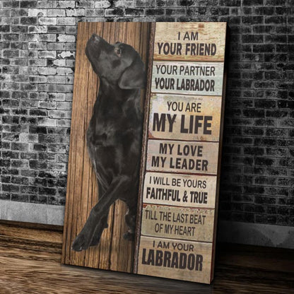 Quadro labrador