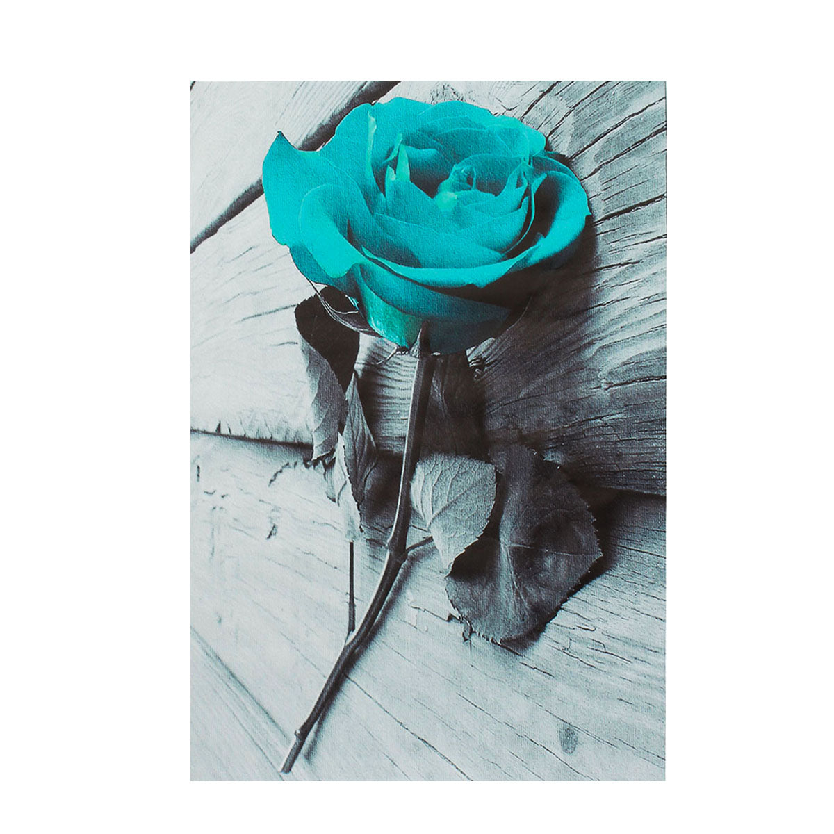 Tela rose blu