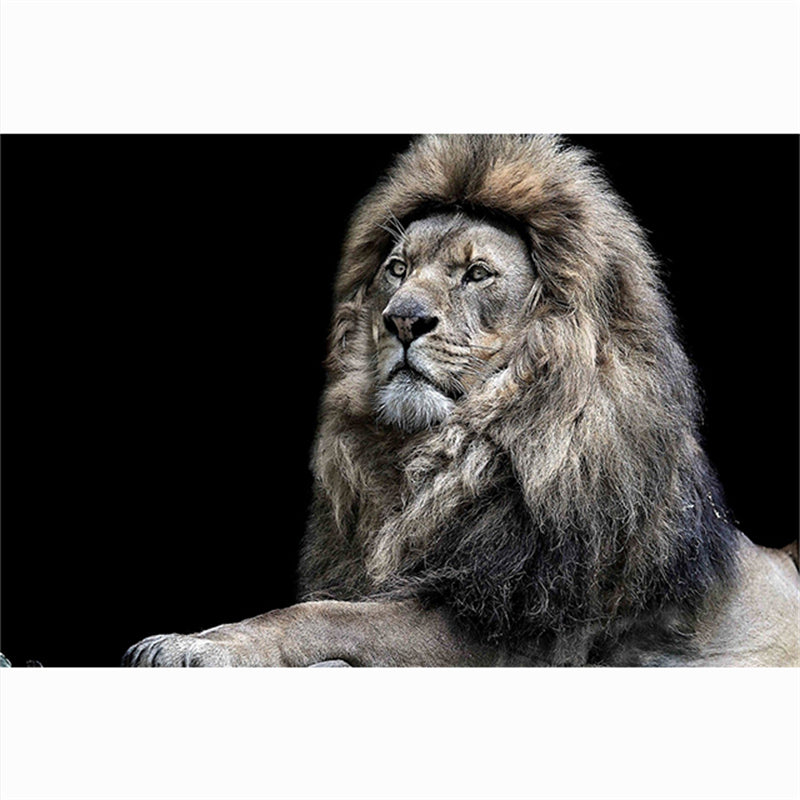 Quadro Testa di Tigre