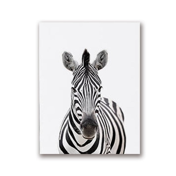 Quadro fauna selvatica