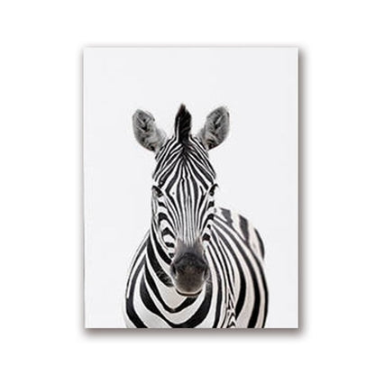 Quadro fauna selvatica