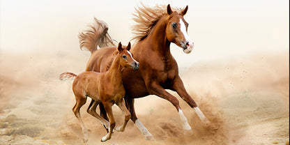 Dipinto spray