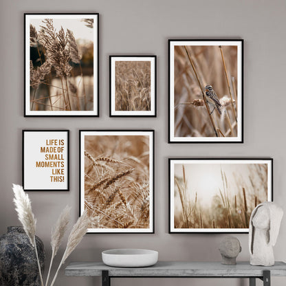 Stampa Paesaggio Naturale