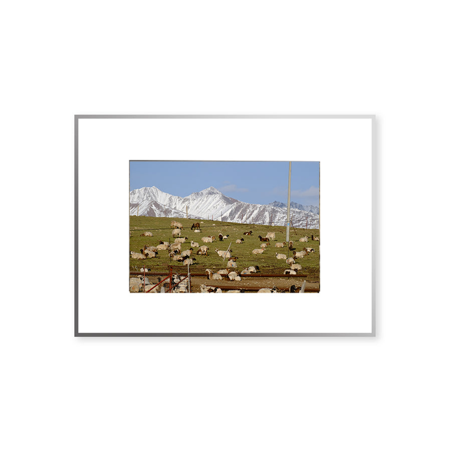 Quadro fotografico