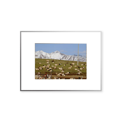 Quadro fotografico