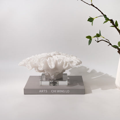 Decorazione corallo