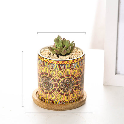 Vaso piante grasse mandala