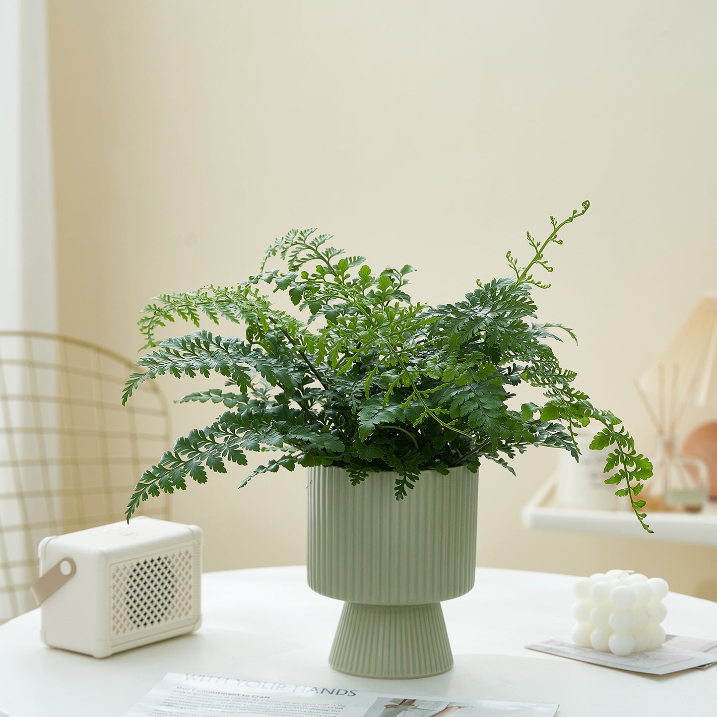 Vaso ceramica righe