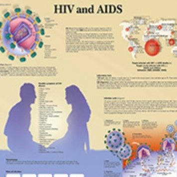 Poster educativo