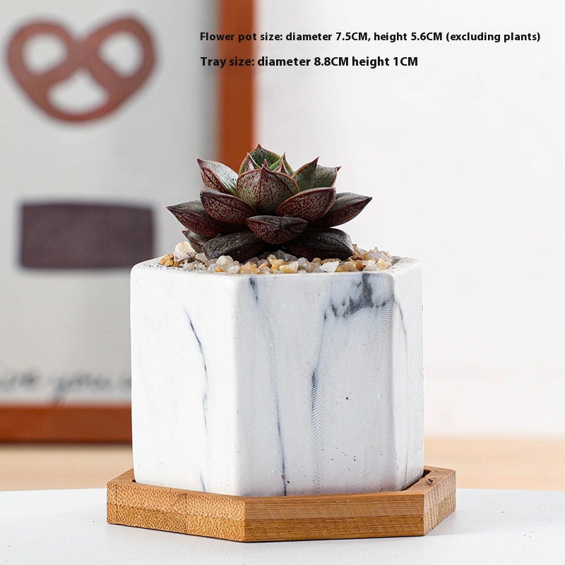 Vaso piante grasse ceramica