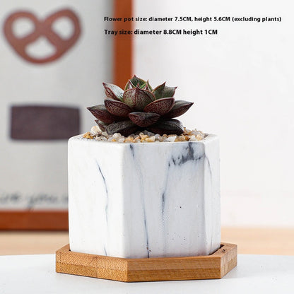 Vaso piante grasse ceramica