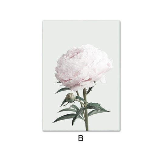 Quadro su tela Peonia rosa pallido botanica