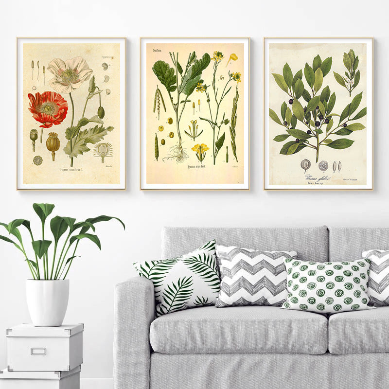 Stampa Botanica Retrò