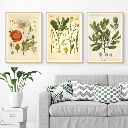 Stampa Botanica Retrò