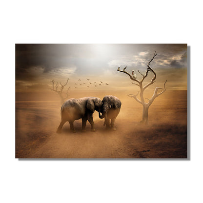 QUADRO ELEFANTE