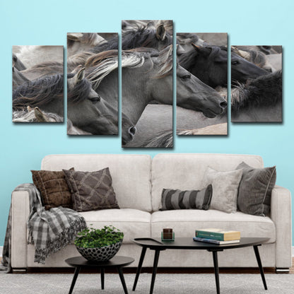 Set 5 Quadri Cavalli