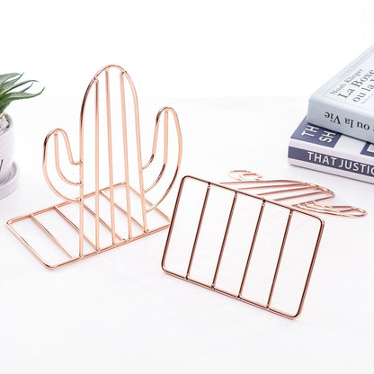Reggilibri cactus metallo
