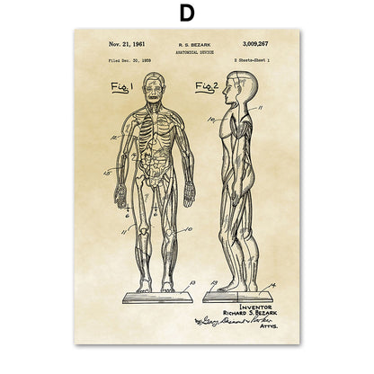 Tela Anatomia Vintage