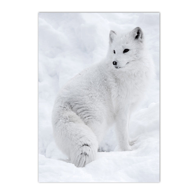 Quadro animali nordici