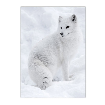 Quadro animali nordici
