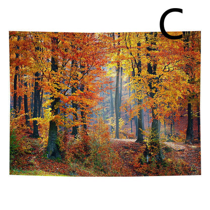 Tappezzeria Foresta Boema