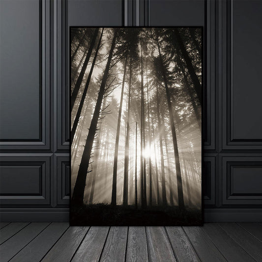 Quadro su tela Foresta con raggi solari