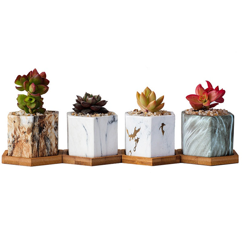 Vaso piante grasse ceramica