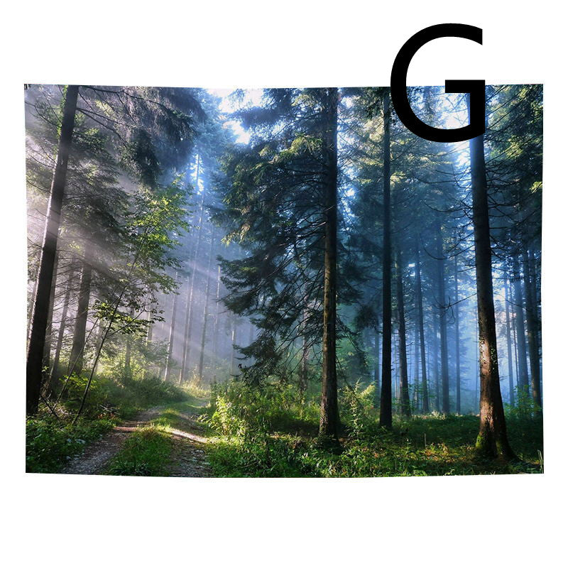 Tappezzeria Foresta Boema