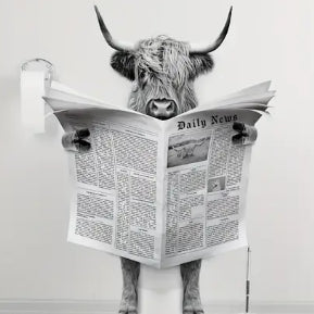 Stampa tela