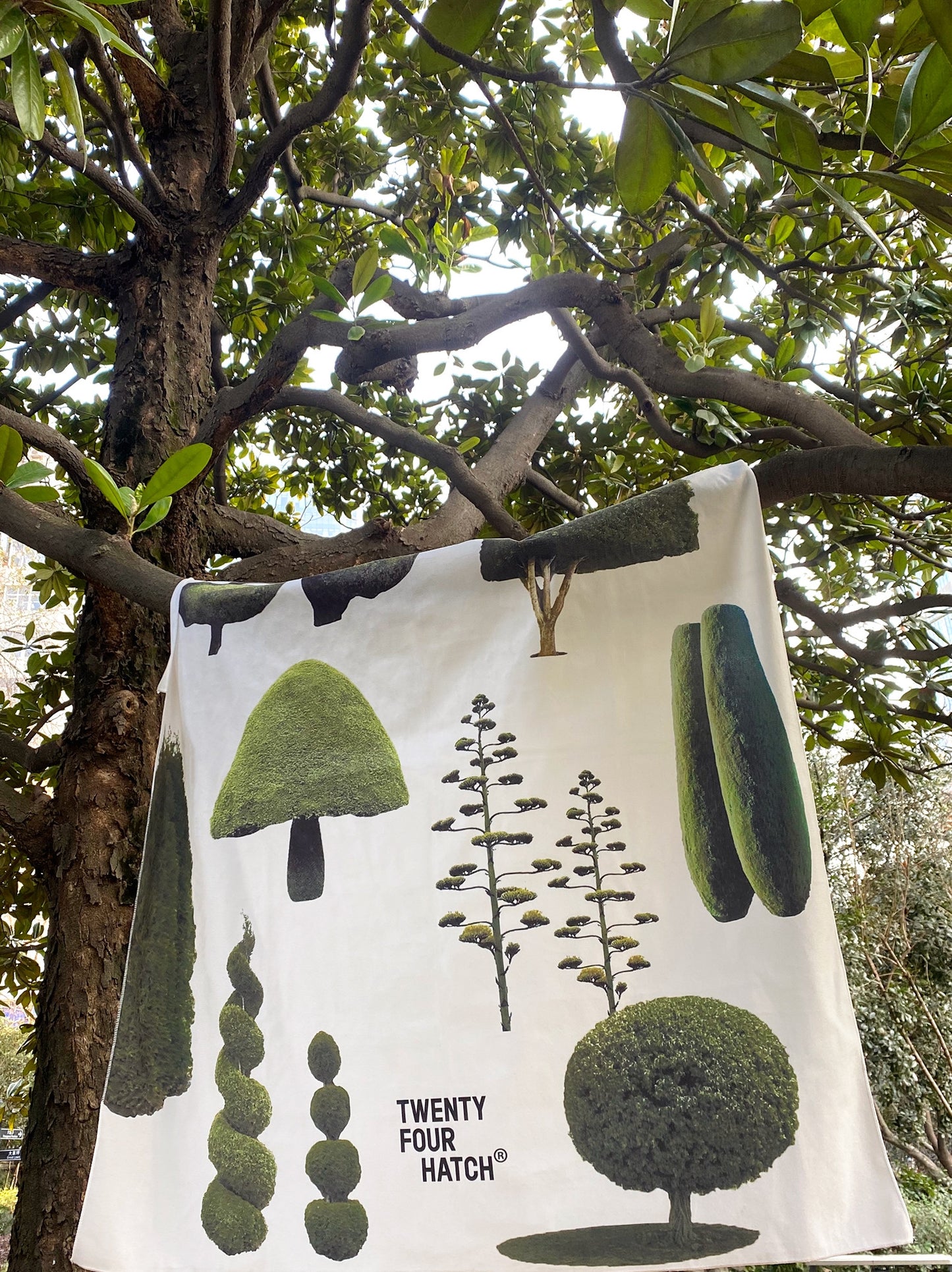Quadro Alberi
