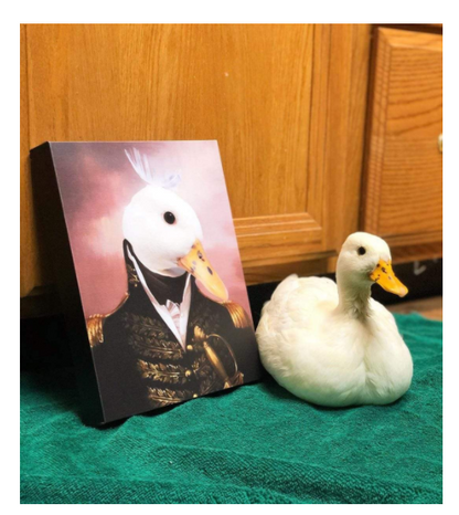 Quadro