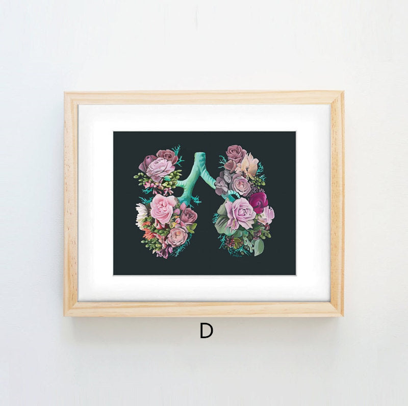 Quadro anatomico