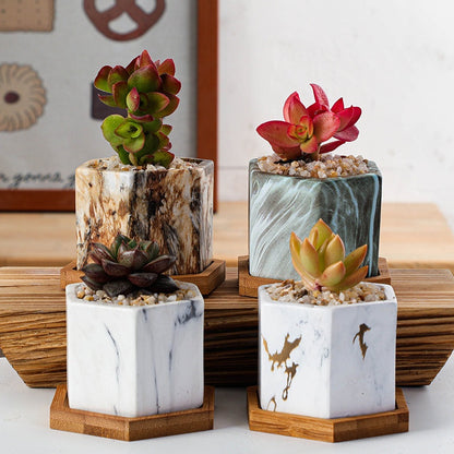 Vaso piante grasse ceramica