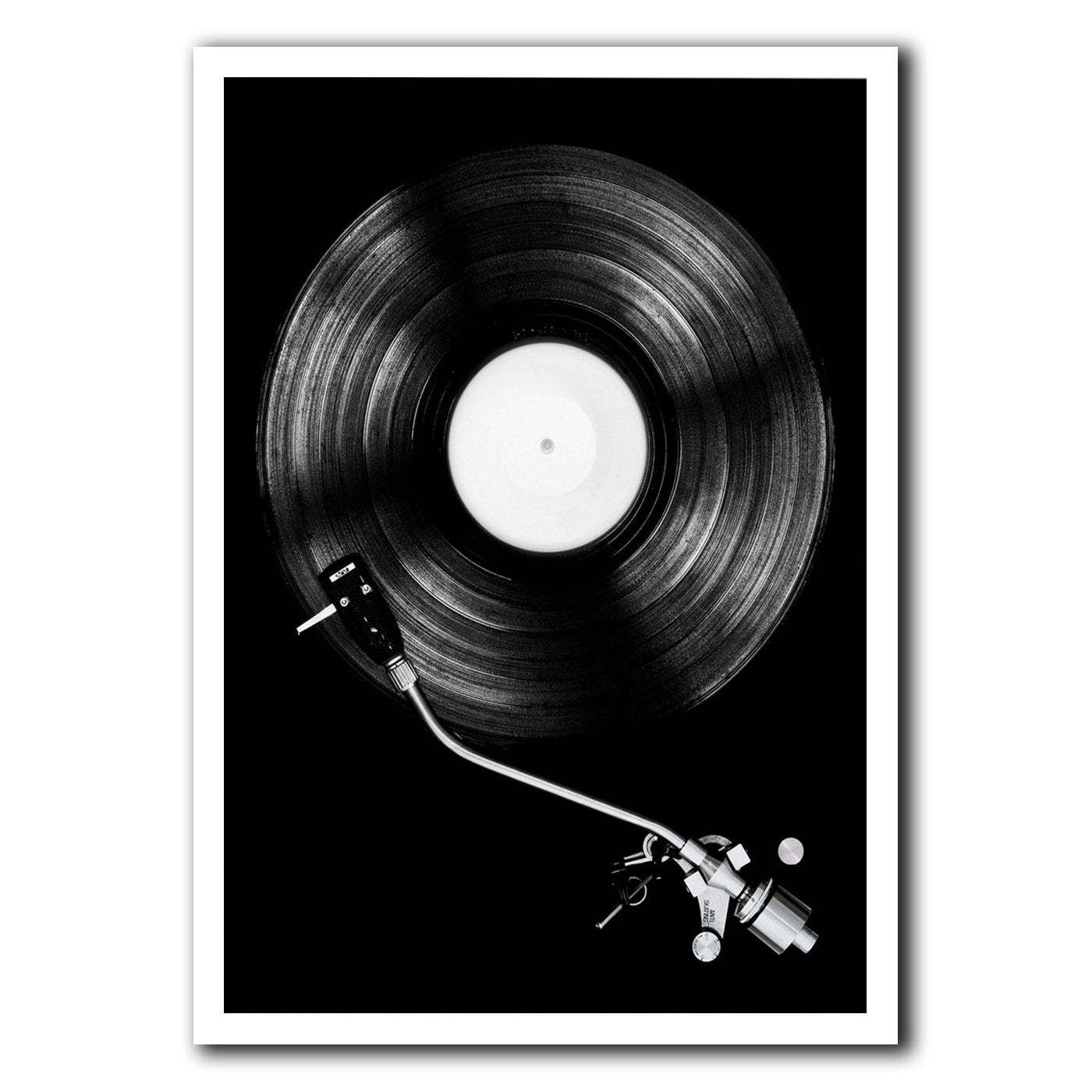 Quadro vinile