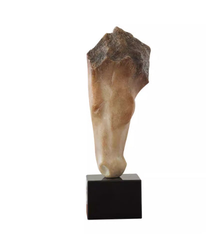 Scultura cavallo