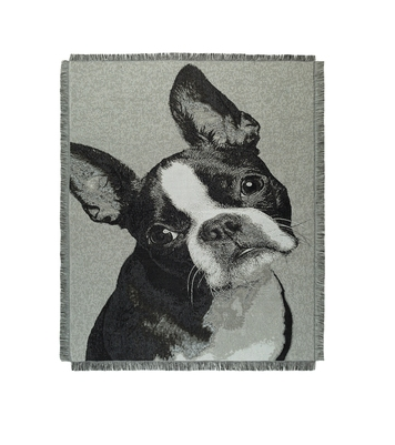 Arazzo Boston Terrier