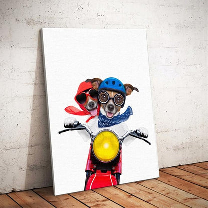 Cane boxer nordico
