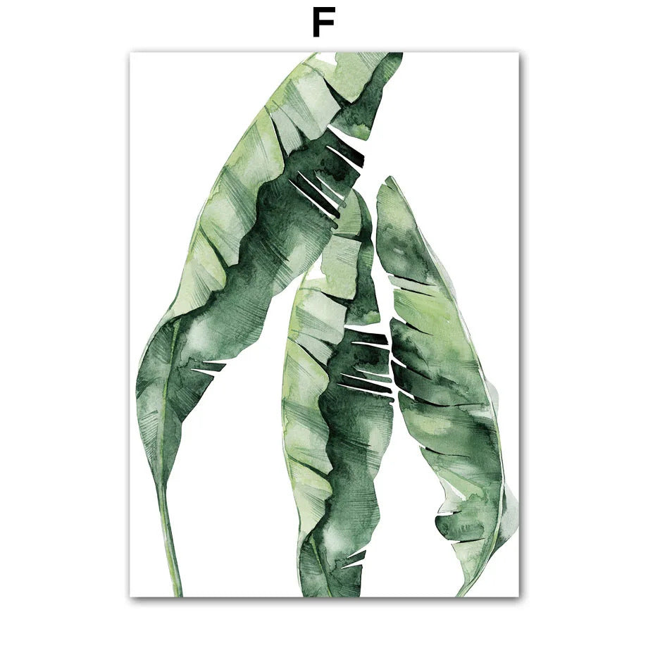 Poster Foglia di monstera