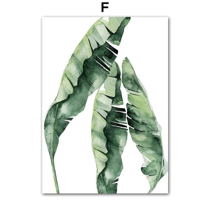 Poster Foglia di monstera