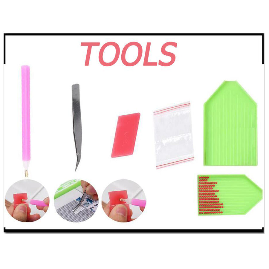 Kit broderie diamanti gatto
