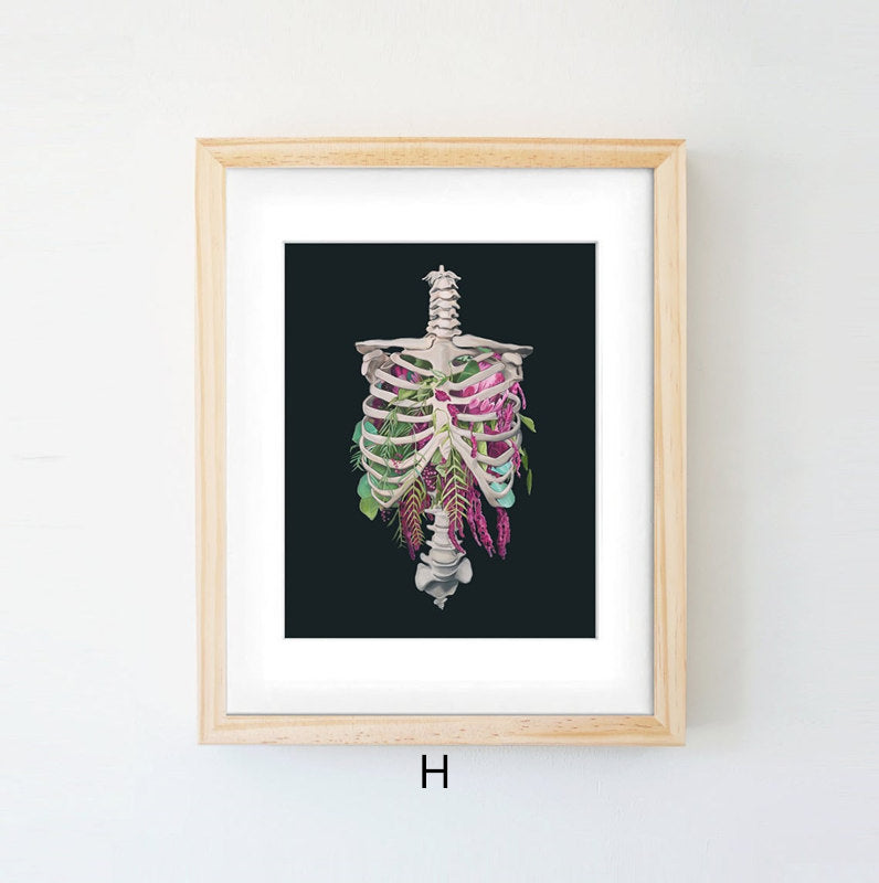 Quadro anatomico