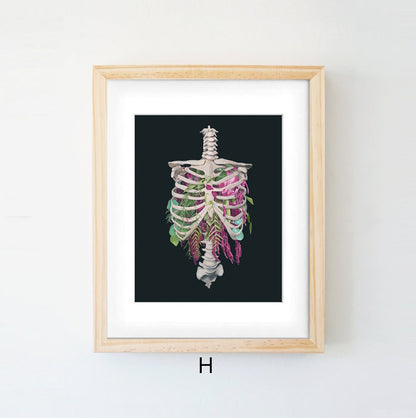 Quadro anatomico