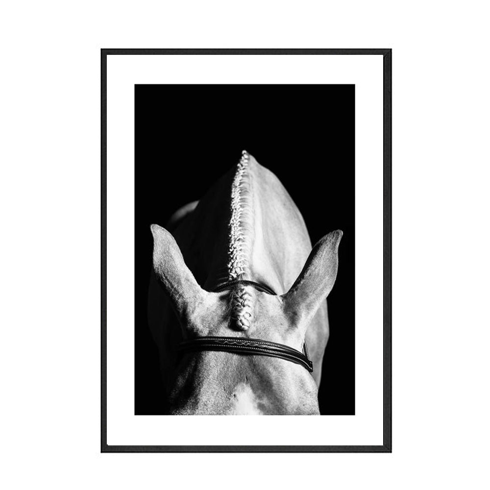 Quadro Cavallo Bianco e Nero