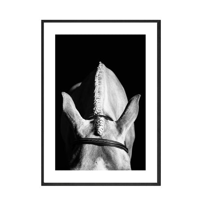 Quadro Cavallo Bianco e Nero