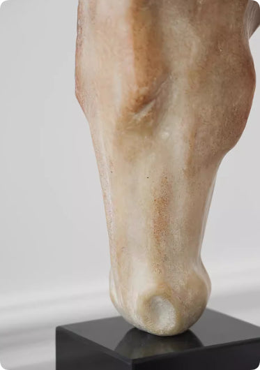 Scultura cavallo
