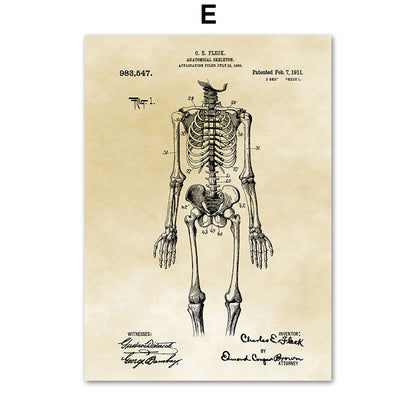 Tela Anatomia Vintage