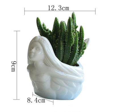 Vaso per succulente
