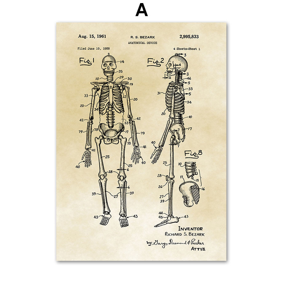Tela Anatomia Vintage