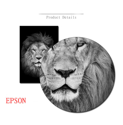 Poster tigre e leone bianco-nero
