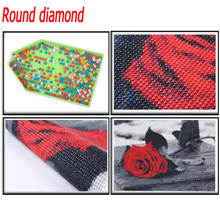 Kit broderie diamanti gatto
